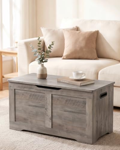 timberer 31.5" storage chest with 2 safety hinges, front angle view