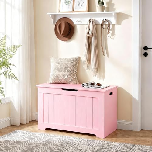 zeny storage chest, lift top storage trunk, entryway, view 9
