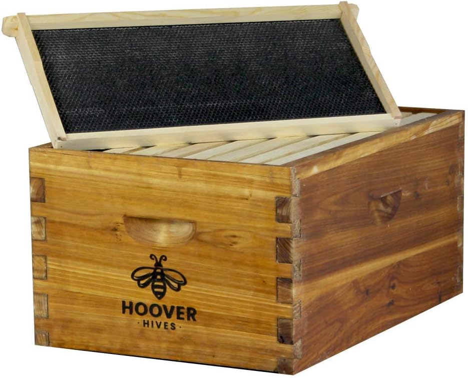 hoover hives wax-coated deep brood box, main product view