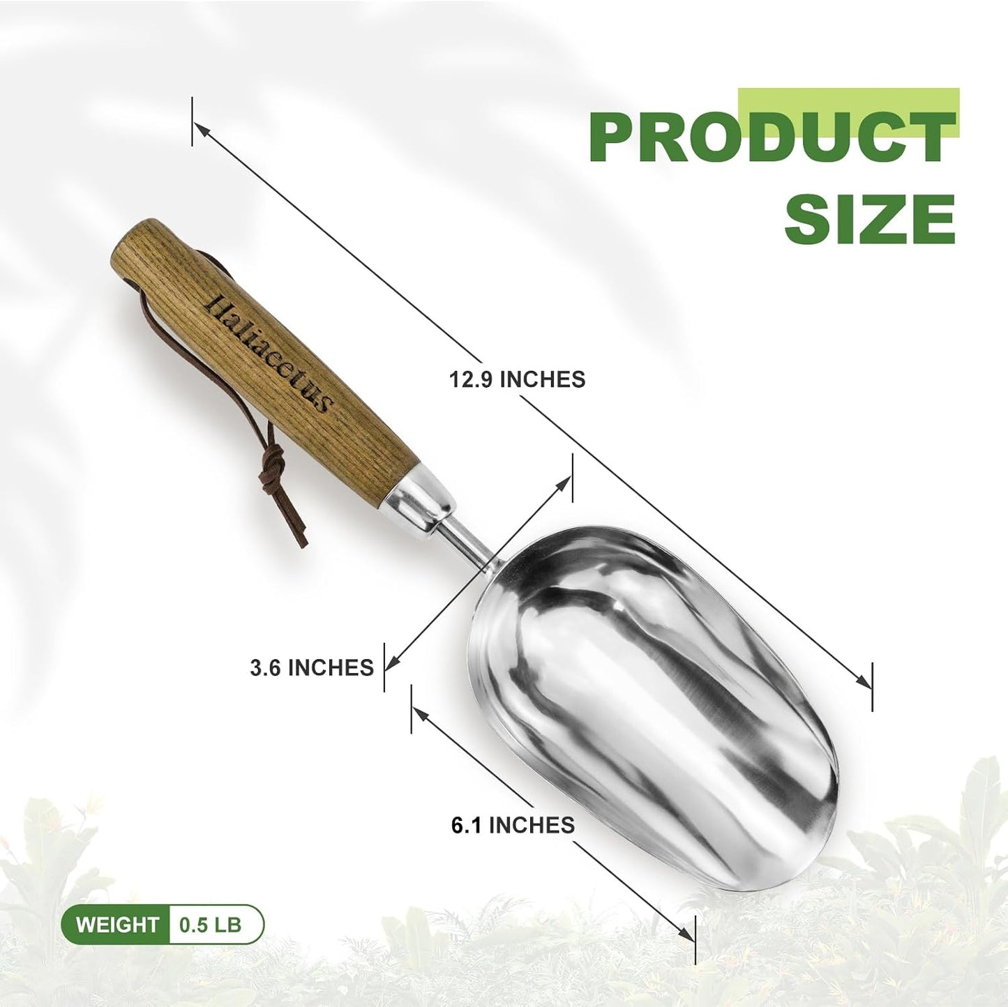 Haliaeetus Potting Soil Scoop, Bend Proof Stainless Steel Gardening Scoop | 1 Cup Big Volume Garden Soil Scoop, Comfortable Wood Handle Soil Scoop for Transplanting, Cultivation,Composting and Planting