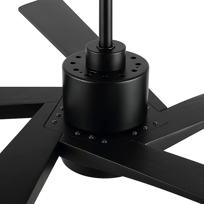 WINGBO 64" DC Ceiling Fan with Lights, 5 Carved Solid Wood Blades, 6-Speed - Image 9