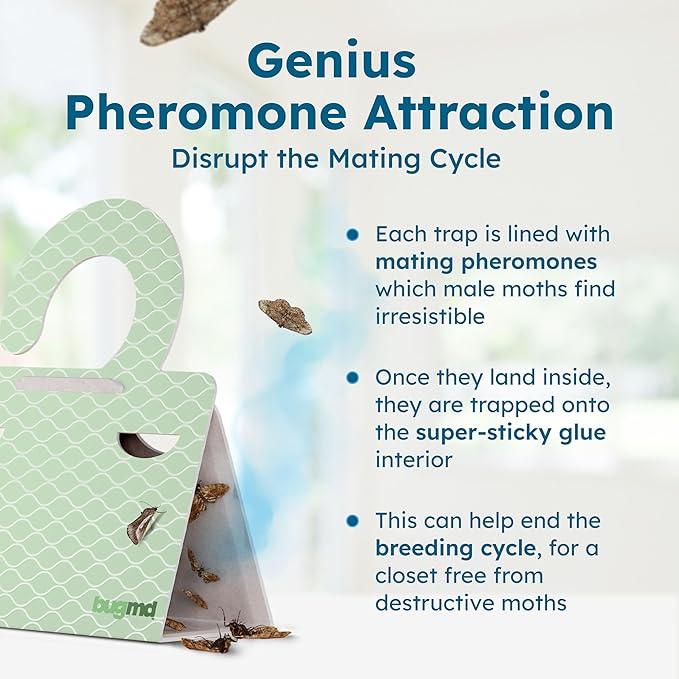 BugMD Clothes & Pantry Moth Traps – Sticky Glue Pheromone-Based Repellent - Image 7