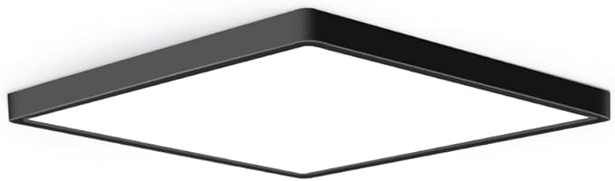 12inch 24W LED Flush Mount Ceiling Light, 5000K Square LED Ceiling Light by theBingotec