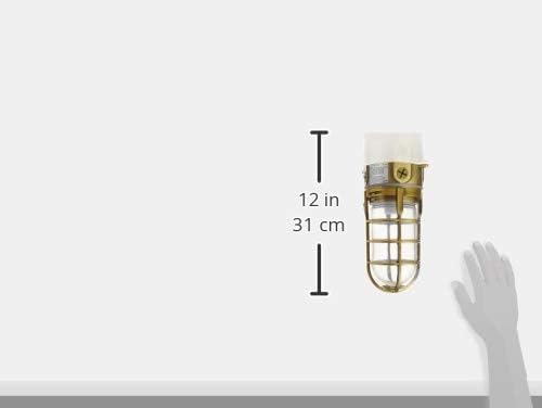 Woods L1706AB Vandal Resistant 150W Incandescent Security Light; Ceiling Mount; - Image 6