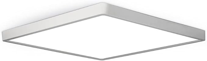 LED Flush Mount Ceiling Light Fixture, 5000K Daylight White, 12inch 24W by theBingotec