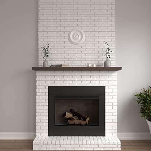 Ekena Millwork CM12TR Traditional Ceiling Medallion (Fits Canopies up to 2 3/4")12"OD x 1"P Primed 1 each
