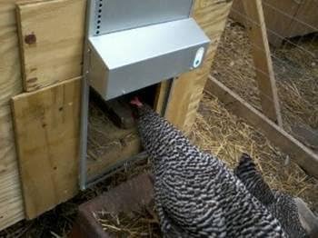 Automatic Chicken Coop Door, ADOR1 Made in USA - Image 5