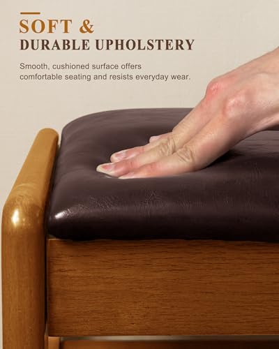 shoe rack bench with hidden storage, 2‑tier solid on a desk or shelf