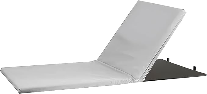 Electric Lifting Backrest for Bed by Mobi-Back by MPAINMANAGEMENTTECHNOLOGIES