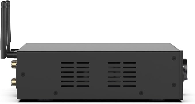 Arylic A100 Wireless Full Digital HiFi Amplifier - Image 3
