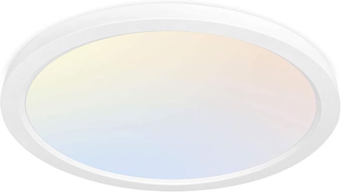 hykolity 12 Inch Selectable CCT LED Round Flat Panel Light, 24W by hykolity