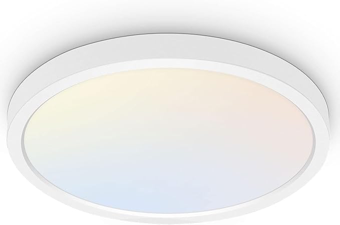 hykolity 18 Inch LED Round Flat Panel Light, 3000K/4000K/5000K CCT Selectable by hykolity