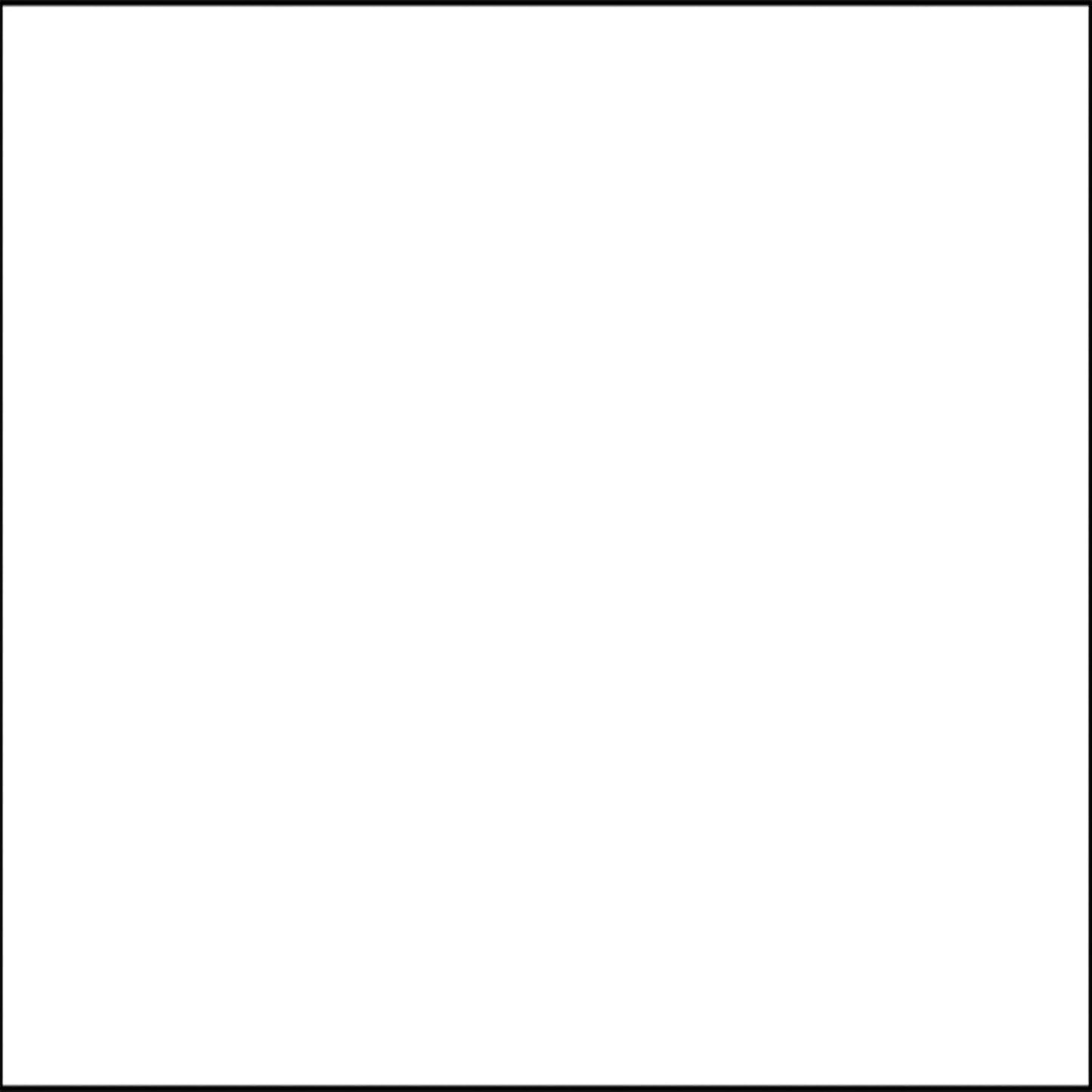 Consolan Weatherproof White Acrylic Paint 5000 Milliliters