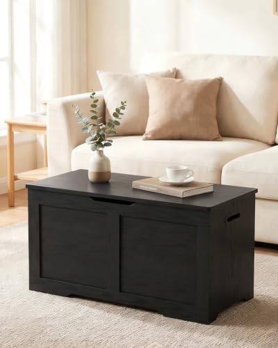 timberer 31.5" storage chest with 2 safety hinges, front angle view