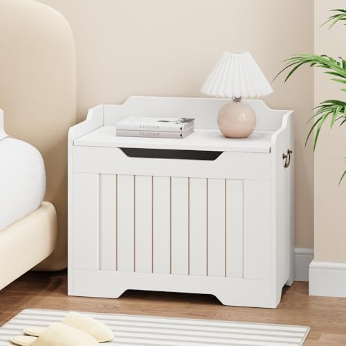 idealhouse storage bench, 24.8" storage chest with lid, front angle view