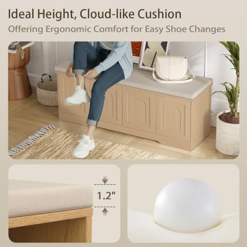 dinzi lvj shoe storage bench with cushion, door, front angle view