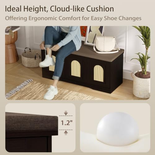 dinzi lvj shoe storage bench with cushion, door on a desk or shelf