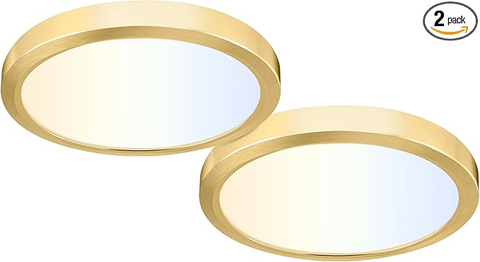 hykolity 2 Pack 9 Inch Selectable CCT LED Round Flat Panel Light, 18W 1800LM by hykolity