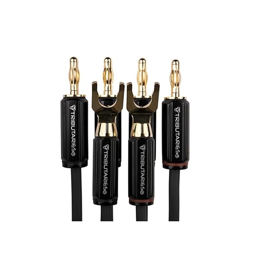 Tributaries Model 4BW Bi-Wire Speaker Cables by Tributaries