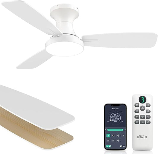 Homlit 42 inch Smart Ceiling Fan by Homlit