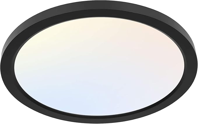 hykolity 12 Inch Selectable CCT LED Round Flat Panel Light, 24W by hykolity