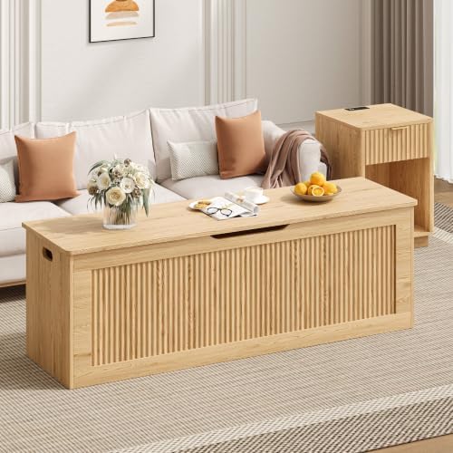 akxomel 51.2" fluted storage chest wooden storage trunk, main product view
