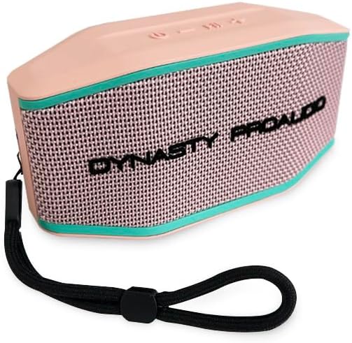 DYNASTY PROAUDIO SB-108 Portable Bluetooth 5.3 Speaker by DynastyProAudio