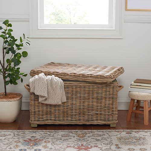 safavieh salim trunk rattan storage cabinet, 18.7" coastal on a desk or shelf