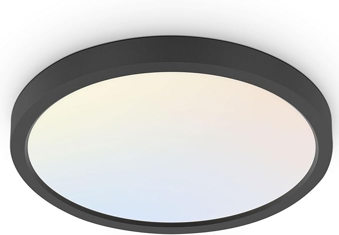 hykolity 18 Inch LED Round Flat Panel Light, 3000K/4000K/5000K CCT Selectable by hykolity
