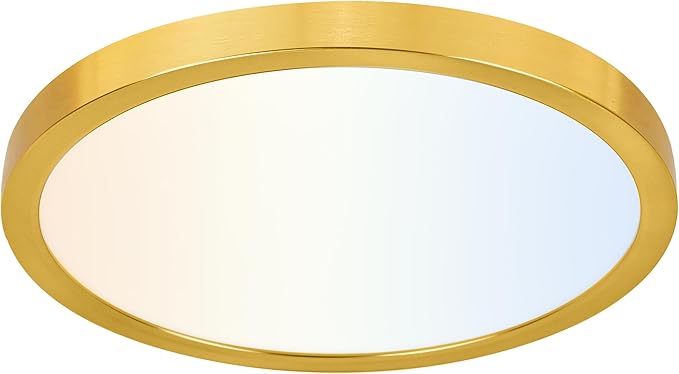 hykolity 12 Inch Selectable CCT LED Round Flat Panel Light, 24W by hykolity