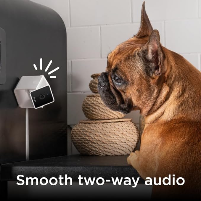 Petcube Cam Pack of 3 Indoor Home Security Cameras - Image 3