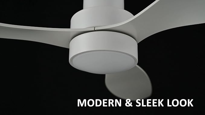 SMAAIR 52 Inch Ceiling Fan - Image 3