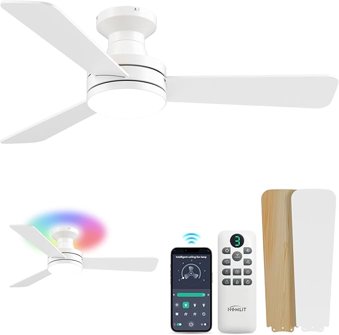 Homlit 42 inch RGB Ceiling Fan by Homlit