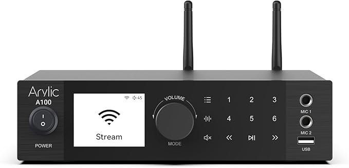 Arylic A100 Wireless Full Digital HiFi Amplifier - Image 2