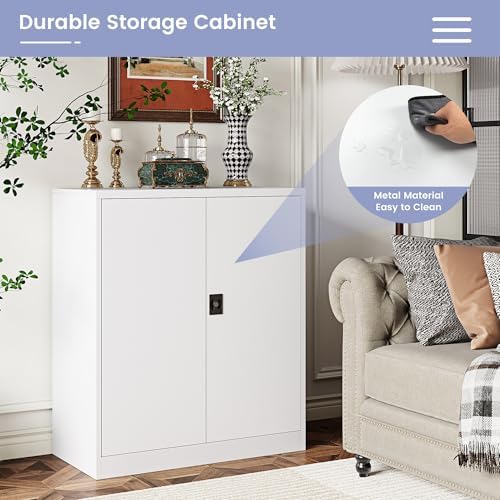 metal storage cabinet，garage storage cabinet with 2 lockable on a desk or shelf