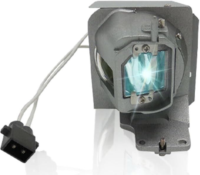 SORNEICDR BL-FP240E/SP.78V01GC01 Replacement Projector Lamp Bulb Compatible by SORNEICDRIsProfession