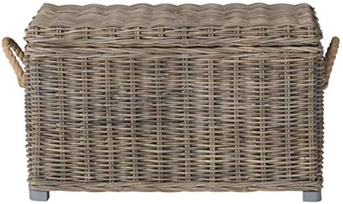 safavieh salim trunk rattan storage cabinet, 18.7" coastal, main product view