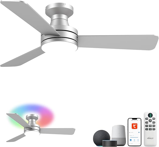 Homlit 42" RGB Ceiling Fan by Homlit
