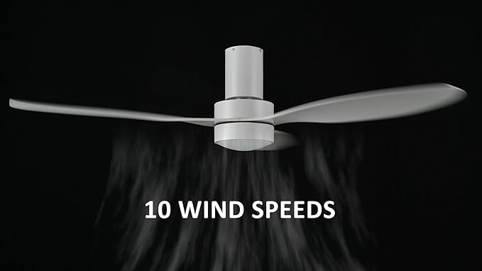 SMAAIR 52 Inch Ceiling Fan - Image 4
