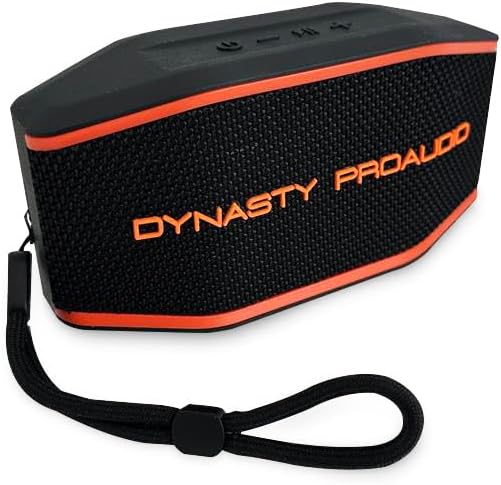 DYNASTY PROAUDIO SB-108 Portable Bluetooth 5.3 Speaker by DynastyProAudio