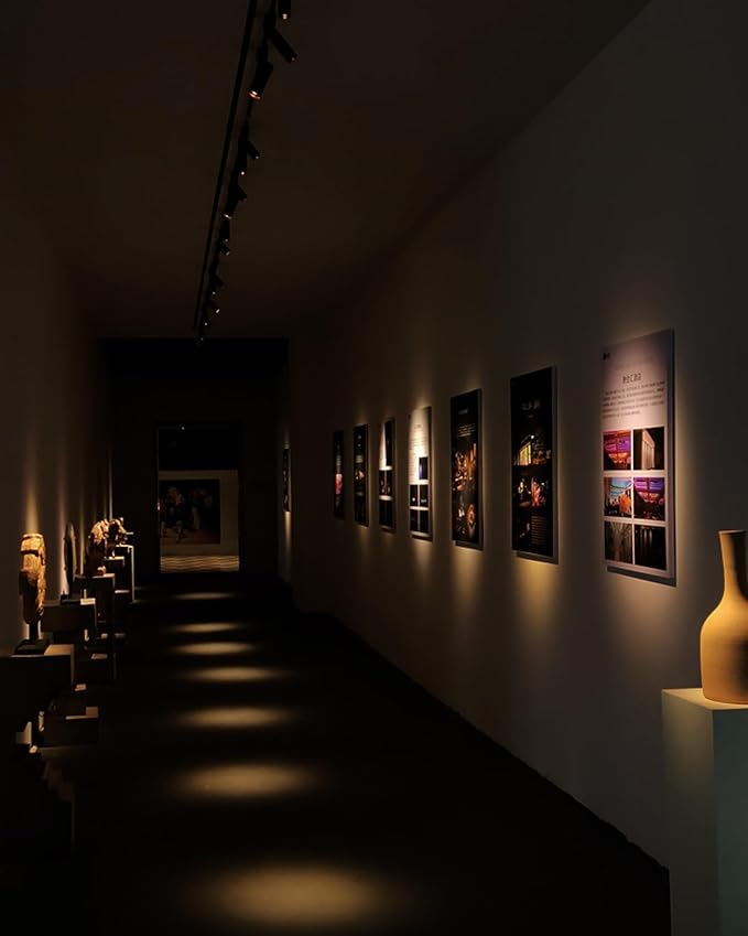 Gpaillumic LED Track Lighting Heads Compatible - Image 9
