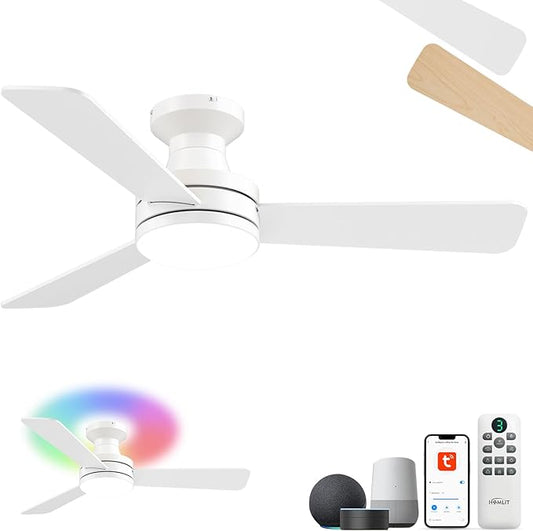 Homlit 42" RGB Ceiling Fan by Homlit