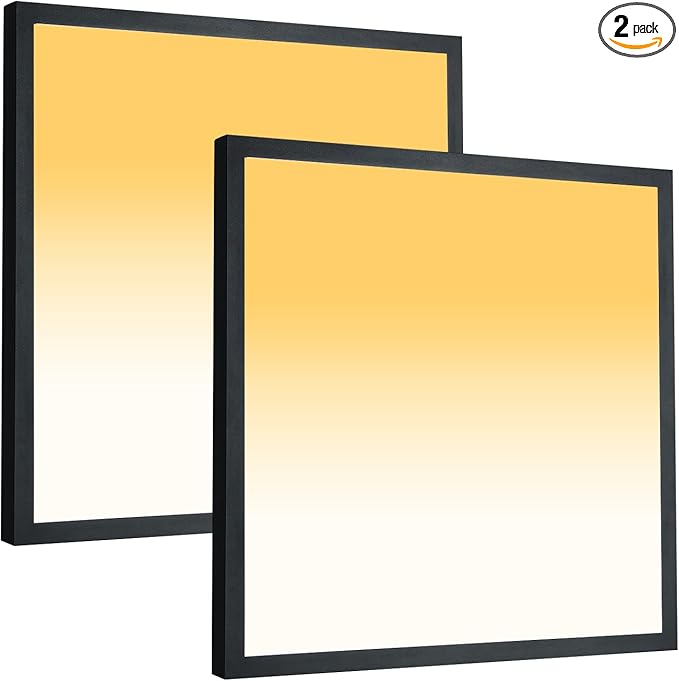 Mcacggo 2x2 FT LED Flush Mount Panel Light 5000K 4000K 3000K Selectable & by Mcacggo