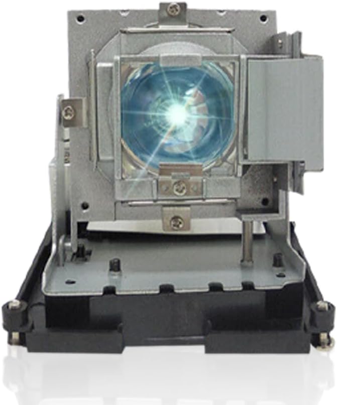 SORNEICDR BL-FU310B / 5811118436-SOT Replacement Projector Lamp Bulb Compatible by SORNEICDRIsProfession