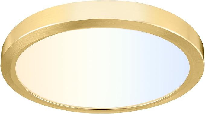 hykolity 9 Inch Selectable CCT LED Round Flat Panel Light, 18W 1800LM by hykolity