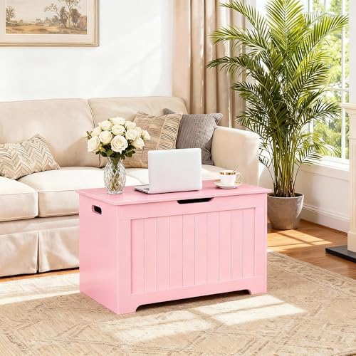 zeny storage chest, lift top storage trunk, entryway, front angle view