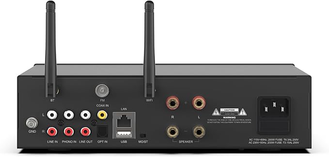 Arylic A100 Wireless Full Digital HiFi Amplifier - Image 4