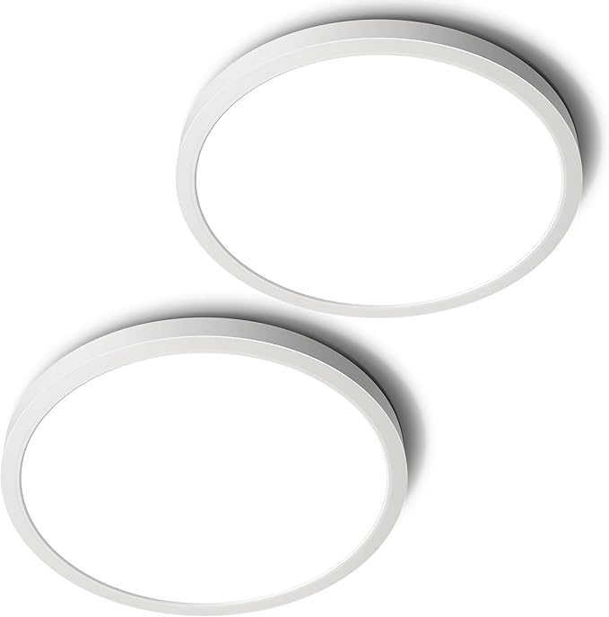 SunRider 2-Pack LED Flush Mount Ceiling Light Fixture, 5000K Daylight White by SunRider