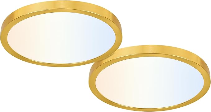hykolity 12 Inch Selectable CCT LED Round Flat Panel Light, 24W by hykolity