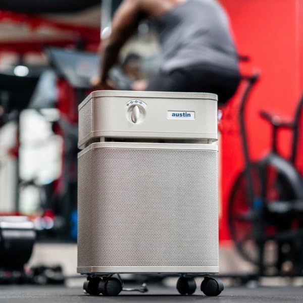 Austin Air HealthMate Plus Air Purifier, Model B450 - Image 4